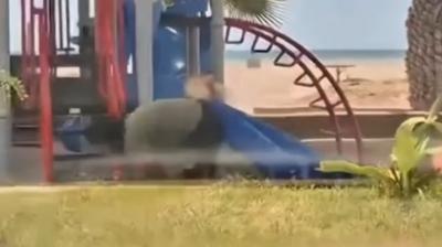 Video muestra a pareja que se identifica como “therian” en playa del norte