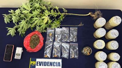 Mujer vendía hongos alucinógenos y cannabis por través de redes sociales: fue detenida en La Ligua