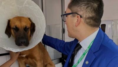 Programa PET: Alcalde descarta su cierre como denunció diputado Videla:  "No costaba nada preguntar antes"