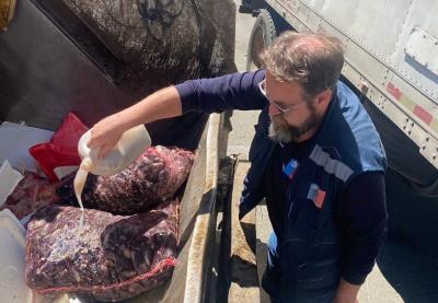 Paillaco: Más de 6 toneladas de pescados y mariscos decomisados en operativo conjunto