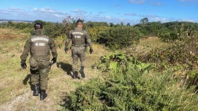 Encuentran con vida a adulto mayor desaparecido hace seis días