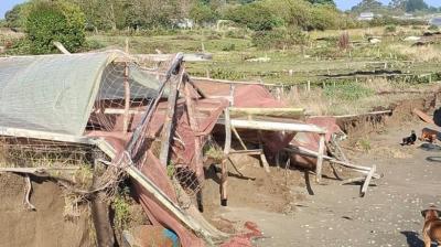 Alertan avance de erosión en la Ribera Norte del río Maullín