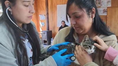 Operativo veterinario en Fresia benefició a 28 mascotas en Parga y Tegualda