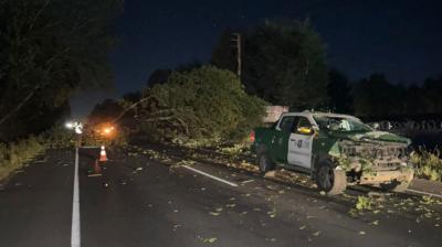 Un álamo cayó sobre un carro policial: hay tres carabineros lesionados