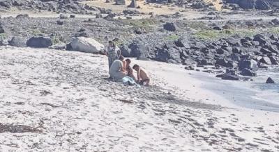 Nueva tragedia en el mar: sujeto muere al ser arrastrado por una ola en Islote Blanco de Caldera