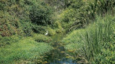 Reconocen al humedal Los Claveles de Algarrobo