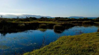 Talcahuano defiende valor ambiental del Humedal Urbano Rocuant-Andalién