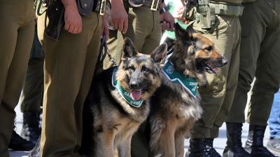 Fuerte contingente de carabineros en Valparaíso y Viña para cambio de mando