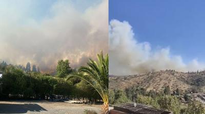 Alerta Roja en San Antonio: incendio forestal consume 30 hectáreas y piden evacuar 3 sectores