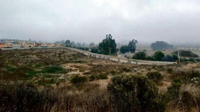 Tribunal Electoral determinará sanciones contra exalcalde por compra de terreno