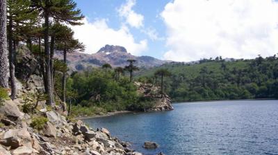 Decretan cierre preventivo del Parque Nacional Laguna del Laja y la Reserva Nacional Ralco