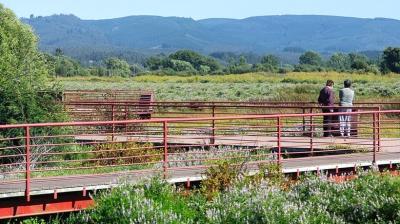 Inician restauración de 25 hectáreas del Parque Humedal Urbano en San Pedro de la Paz