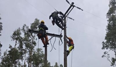 Más del 99% de los usuarios de Saesa cuenta con suministro tras fuerte temporal de viento y lluvia en Los Ríos