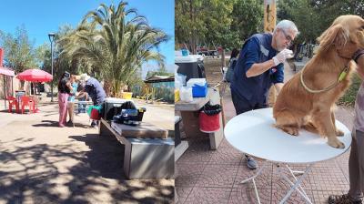 Realizan operativo de vacunación antirrábica en las comunas de San Esteban y San Felipe