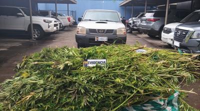 Operación “Tras las líneas” saca de circulación 900 millones de pesos en droga