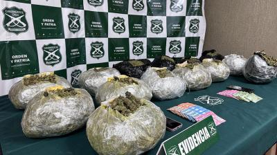 [VIDEO] Control vehicular permite decomisar 14 kilos de droga en Nogales: dos detenidos