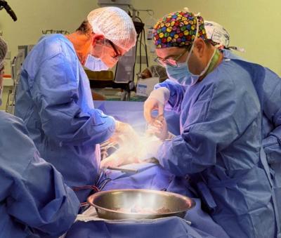 Hospital Base Valdivia realiza dos procuramientos de órganos en una semana gracias a trabajo coordinado de sus equipos clínicos