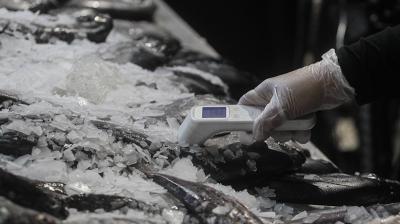 Seremi de Salud de la Región de Valparaíso fortalecerá la fiscalización en puntos de ventas de mariscos previo a Semana Santa