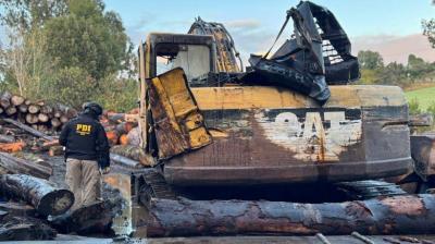 Operativo en Chiloé por usurpación de terrenos y robo de madera deja más de 20 detenidos