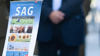 SAG suspende exportaciones de productos avícolas tras confirmar un caso de influenza aviar en plantel industrial