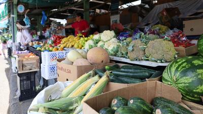 Feriantes de Osorno proyectan alzas de al menos 10% en frutas y verduras