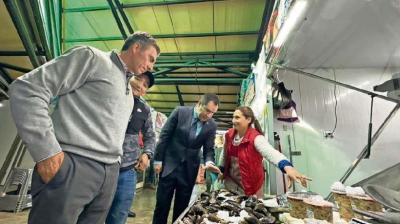 En Chillán esperan recibir 25 mil visitantes el fin de semana