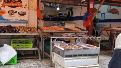 Incautan cerca de 100 kilos de pescado en mal estado en feria de Ancud: Una persona fue detenida