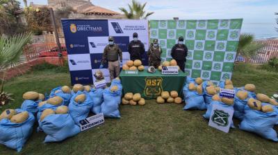 Desbarataron envío de 300 kilos de marihuana desde Bolivia a Puerto Montt y banda quedó presa