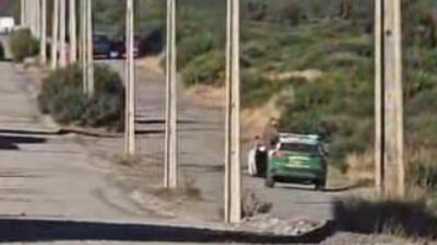 Con tres detenidos terminó operativo por hurto de tractor y receptación de auto robado en Puerto Montt