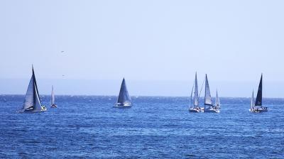 Descubren una regata en Valparaíso que reconfigura los inicios del deporte chileno