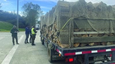 Activan controles a camiones madereros en Los Muermos por tala ilegal