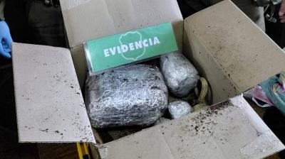 Con un kilo de cocaína y otro de marihuana en una caja detuvieron a traficante en Maullín