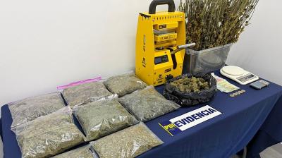 En casa del sector Puerta Sur de Puerto Montt descubrieron cultivo de marihuana