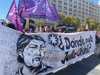 Fiscalía de Los Ríos revela hallazgo de osamenta humana en terreno donde vivía Julia Chuñil