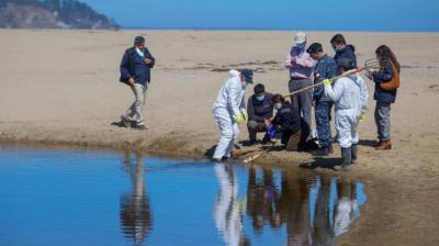 Zapallar: humedal La Laguna Estero Catapilco en monitoreo por baja de oxígeno en el agua
