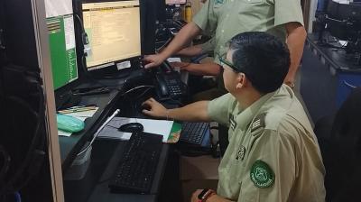 El 70% de llamadas al 133 de Carabineros en Puerto Montt son pitanzas