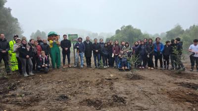En Máfil conmemoraron el Día de la Tierra con masiva arborización