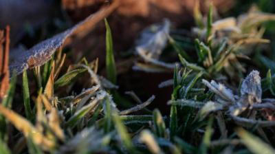 Emiten advertencia agrometeorológica por heladas en la Región de Valparaíso