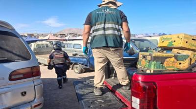 Decomisan más de mil kilos de productos ilegales en feria La Quebradilla en Alto Hospicio