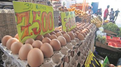 Hasta 10% suben precios de los huevos en Arica por restricciones en la oferta