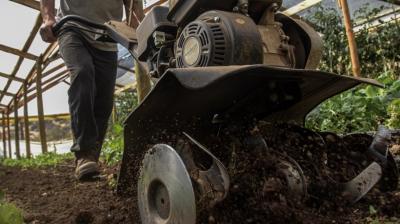 Los Lagos: Transfieren $1.887 millones en apoyo a agricultores ante el alza de precios en insumos