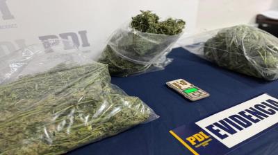 PDI saca de circulación 10 millones de pesos en cannabis sativa procesada en Traiguén