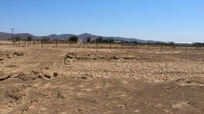 Tribunal Ambiental: dejan sin efecto término anticipado de la evaluación del proyecto “Parque Fotovoltaico Oxum del Tamarugal”