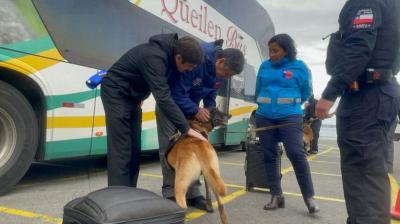 Detienen a conductores bajo efectos de drogas en operativo preventivo en Chacao y Pargua
