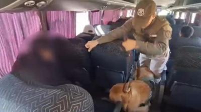 [VIDEO] En prisión quedaron presuntos militares del Ejército peruano detenidos en Tarapacá transportando ketamina