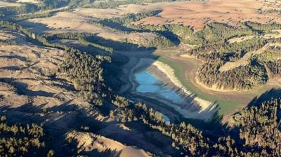 Sobrevuelo por humedal El Yali constató el regreso de los cisnes coscoroba