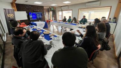 Saesa reúne a autoridades de Chiloé en reunión web para abordar resiliencia eléctrica y cambio climático