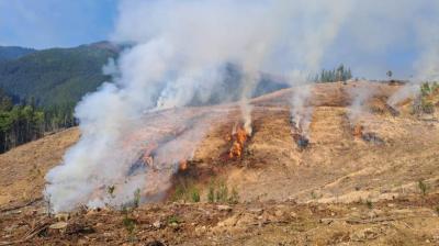 Levantan restricción del uso del fuego para 22 comunas del Biobío
