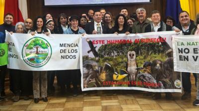 Municipalidad de Concepción presentó recurso de protección por humedal Paicaví