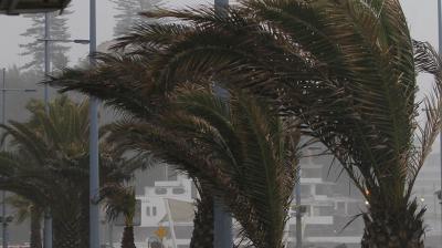 Rachas de hasta 60km/h: DMC emite aviso por viento en la Región de Valparaíso